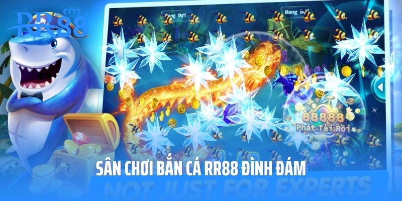 Sân chơi bắn cá RR88 đình đám