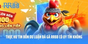 Thực Hư Tin Đồn Dư Luận Đá Gà Rr88 Có Uy Tín Không