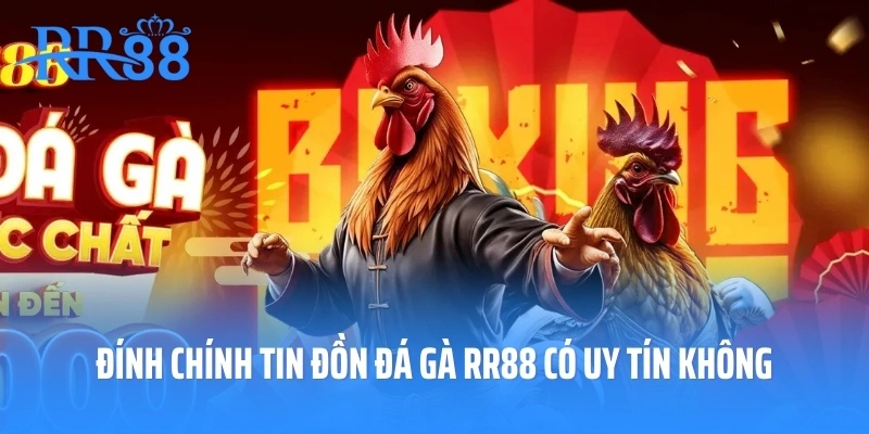 Đính chính tin đồn đá gà RR88 có uy tín không