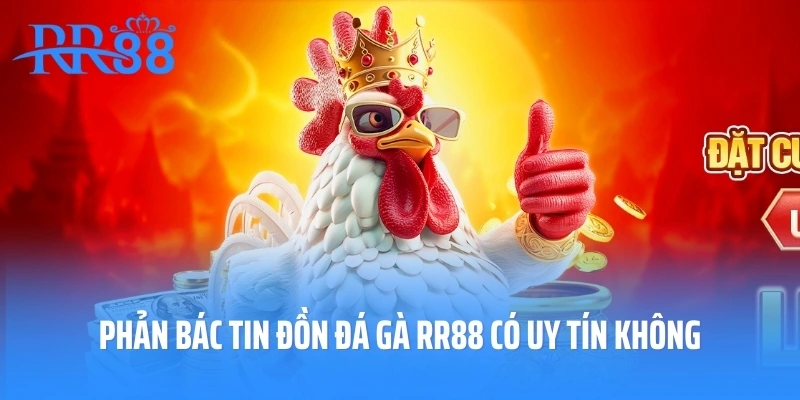 Phản bác tin đồn đá gà RR88 có uy tín không