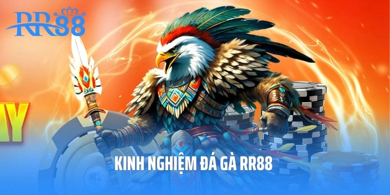 Kinh nghiệm đá gà RR88
