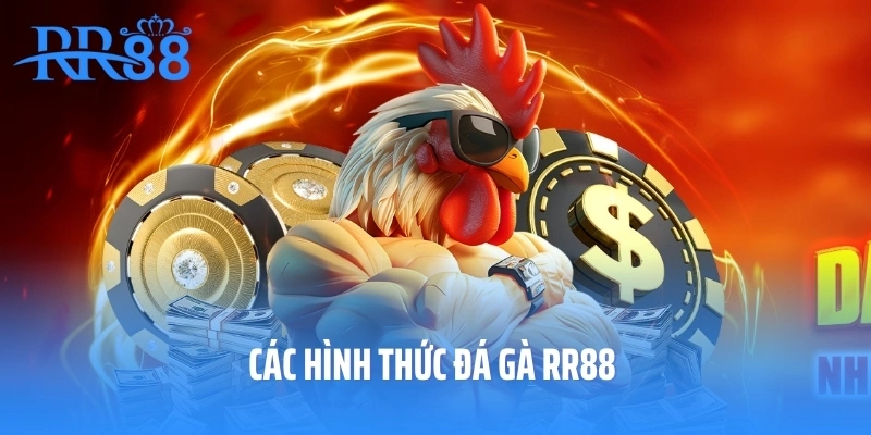 Các hình thức đá gà RR88