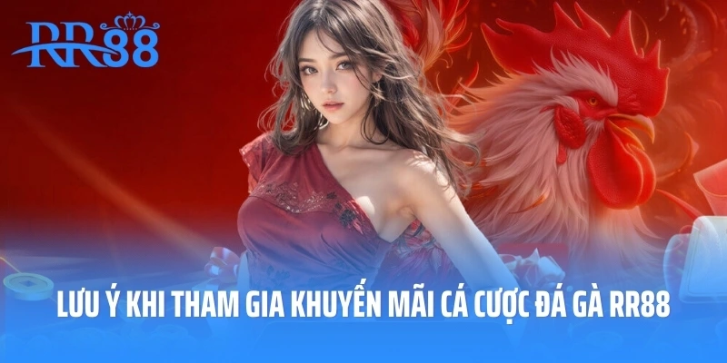 Lưu ý khi tham gia khuyến mãi cá cược đá gà RR88