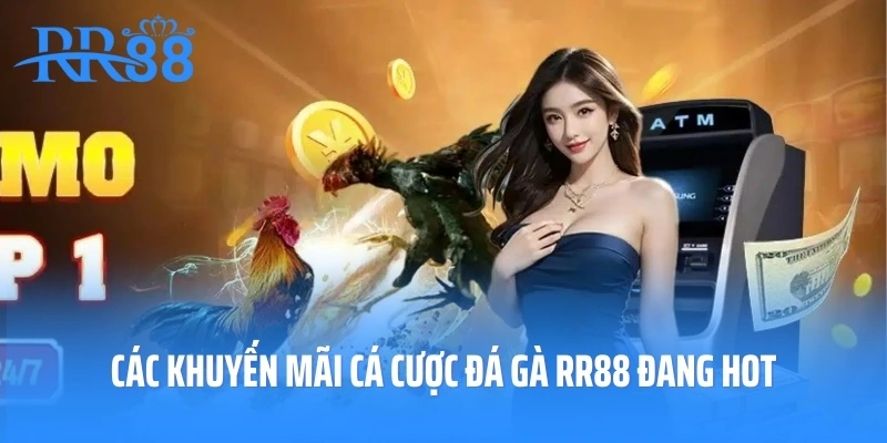 Các khuyến mãi cá cược đá gà RR88 đang hot