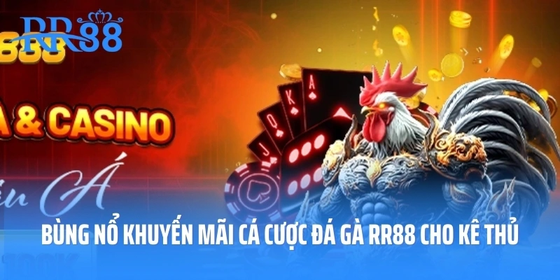 Bùng Nổ Khuyến Mãi Cá Cược Đá Gà RR88 Cho Kê Thủ