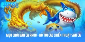Mẹo Chơi Bắn Cá RR88 - Bỏ Túi Các Chiến Thuật Săn Cá Đỉnh Chóp