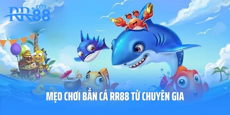 Mẹo chơi bắn cá RR88 từ chuyên gia