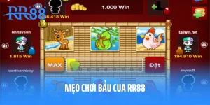 Mẹo Chơi Bầu Cua RR88 – Khám phá Sân Chơi Đẳng Cấp Hiện Nay