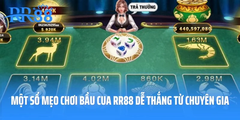 Một số mẹo chơi bầu cua RR88 dễ thắng từ chuyên gia