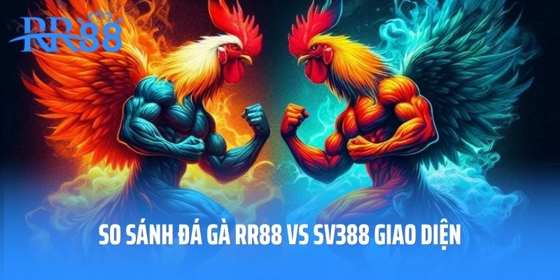 So sánh đá gà RR88 vs SV388 giao diện