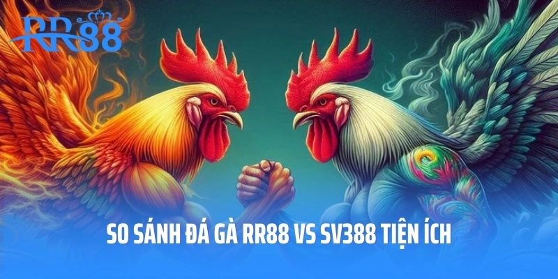 So sánh đá gà RR88 vs SV388 tiện ích