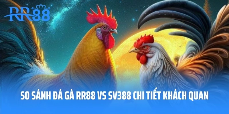 So Sánh Đá Gà RR88 Vs SV388 Chi Tiết Khách Quan