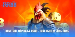 Xem Trực Tiếp Đá Gà RR88 - Trải Nghiệm Sống Động Và Thú Vị