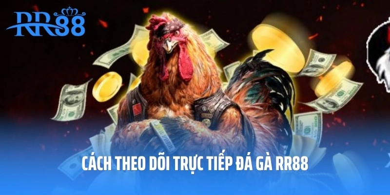 Cách theo dõi trực tiếp đá gà RR88