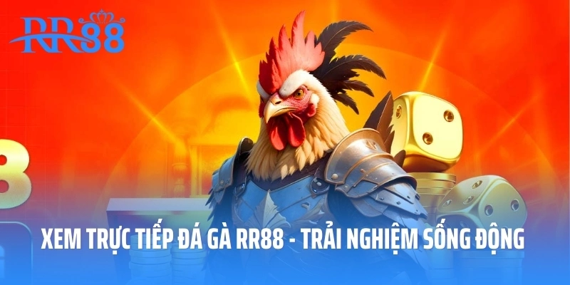 Xem Trực Tiếp Đá Gà RR88 - Trải Nghiệm Sống Động Và Thú Vị
