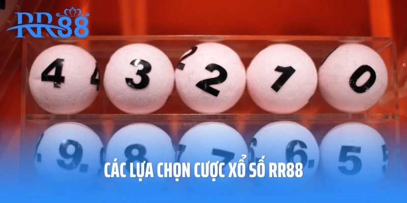 Các lựa chọn cược xổ số RR88